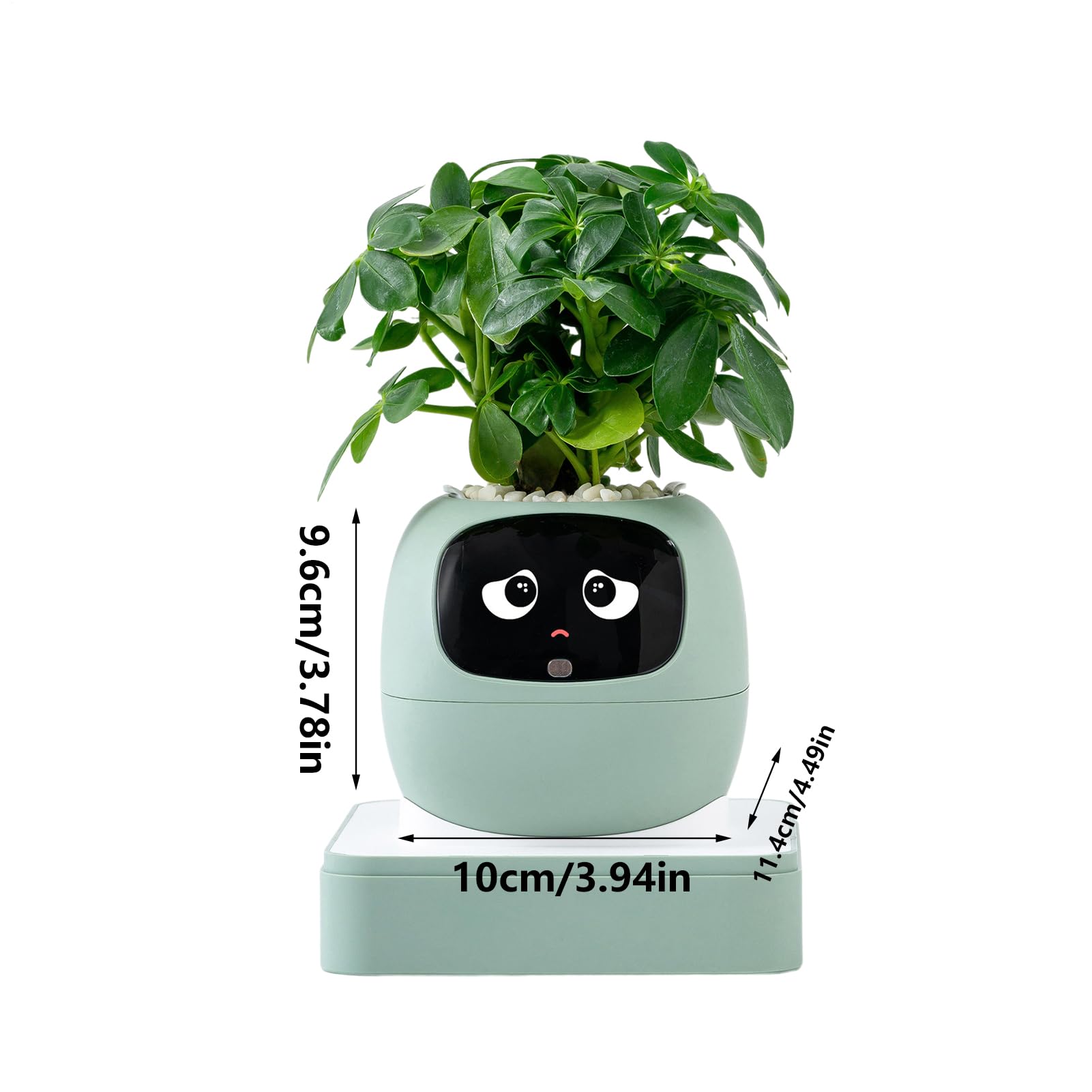 Maceta de escritorio, maceta de expresión divertida, herramienta interactiva, maceta decorativa única, accesorio de jardín interior con estilo moderno, regalo de plantas para oficina, sala de estar