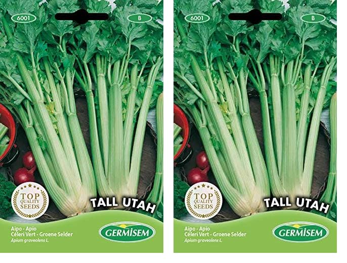Germisem Tall Utah Semillas de Apio 3 g, EC6001 (Paquete de 2)
