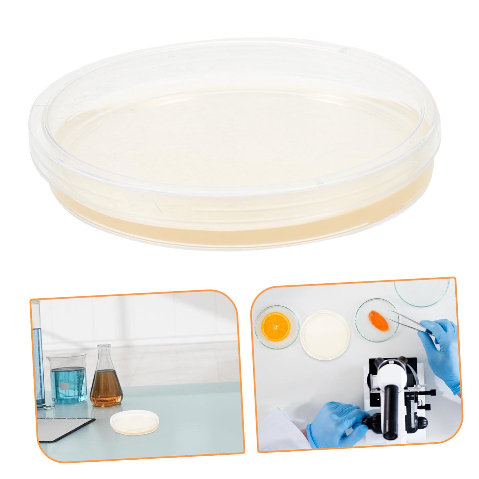 20 Piastre di Petri di Plastica Sterili Agar Nutriente Preversato 9 Cm, per Coltivazione di Funghi e Esperimenti Scientifici di Laboratorio