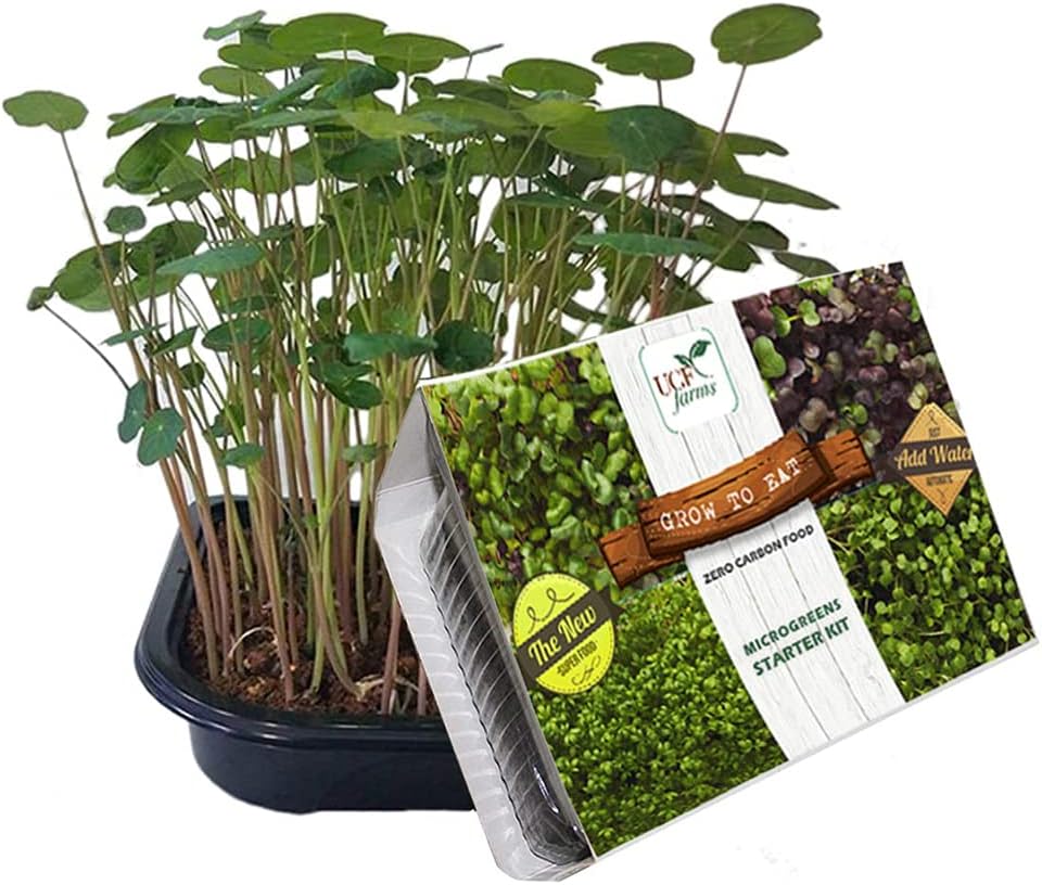 UGF Farms Ambadi Greens Microgreens Grow Kit | Soilless Organic Plant Seeds | Vegetable Seeds | 100% Non-GMO Non-Hybrid For Indoor Outdoor Home and Garden | Ready To Eat in 7 to 10 Days!
