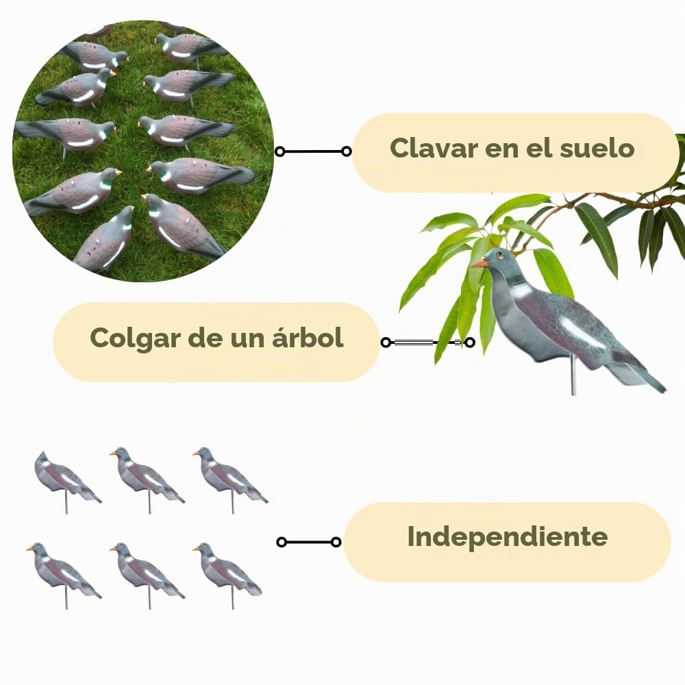 HHH Caza 6X Media Concha Flocado Paloma Cebo Bird Caza señuelos con Clavijas Bird Llamando Accesorios para Caza Y Tiro