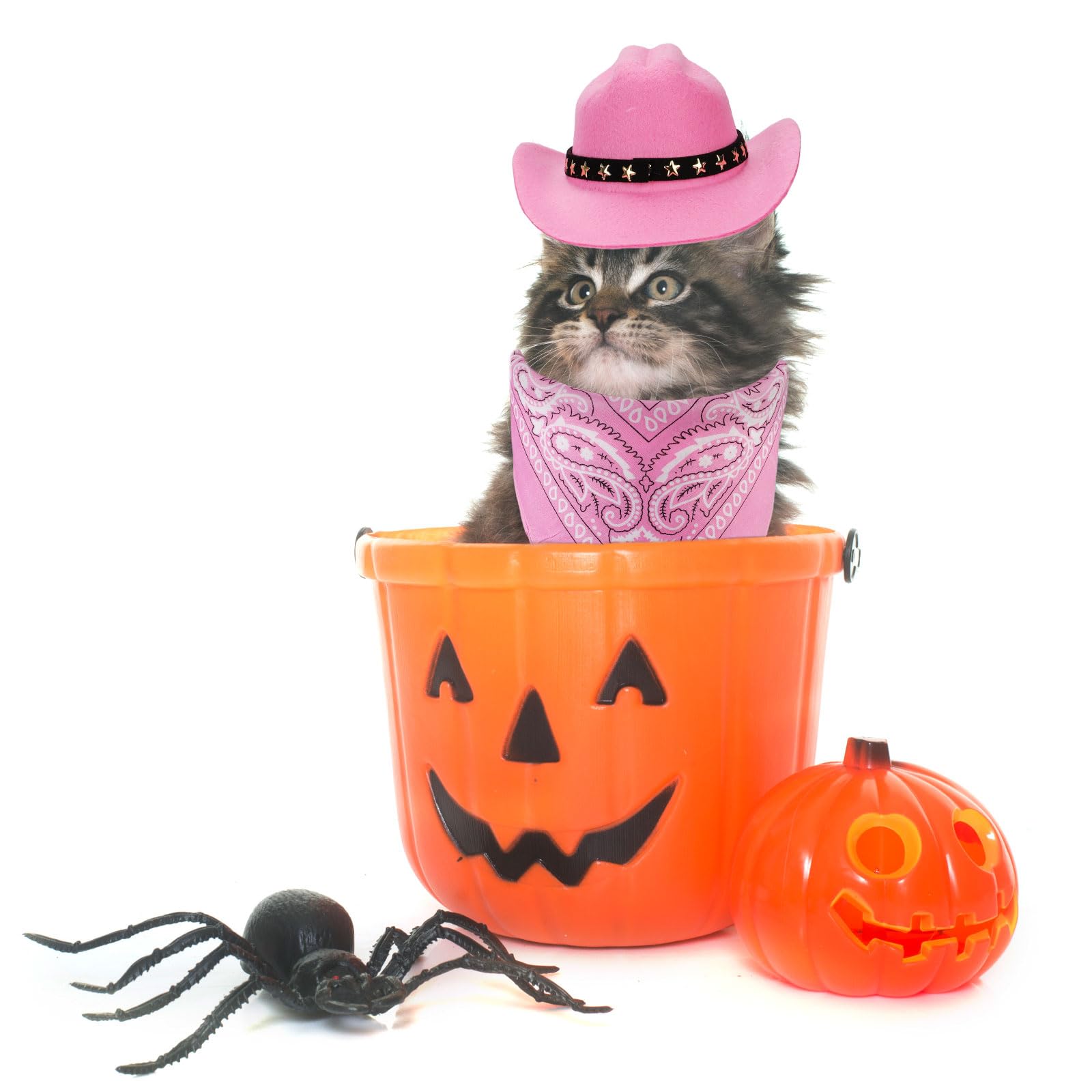 PEUTIER Pet Cowboy Costume, Dog & Cat Cowboy Hat & Bandana Set, Pink, Small, Retro, Printed, Halloween, Festival - Image 3
