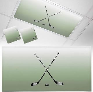 Fluorescent Light Covers for Drop Ceiling Golf Clubs Outdoor Sports Magnetic Light Filters, Sage Green Gradient Ceiling Shade Filters for Home Classroom Office,2x4 ft,2Packs