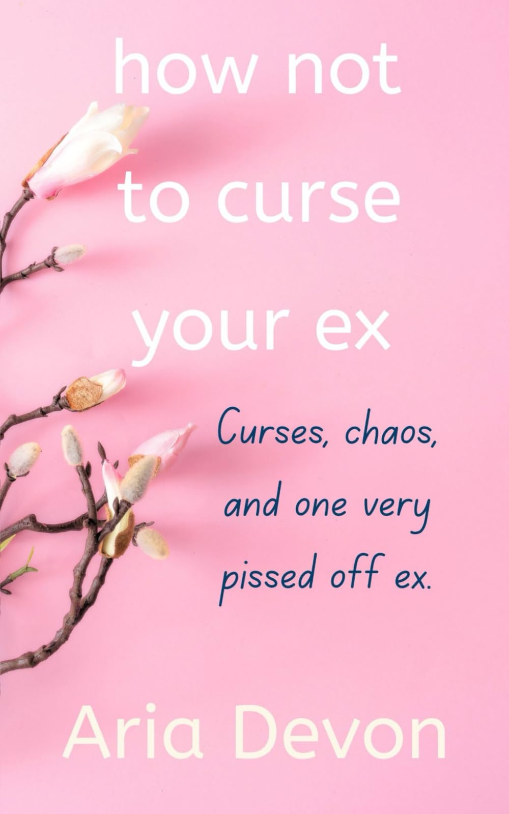 how not to curse your ex: Curses, chaos, and one very pissed off ex.