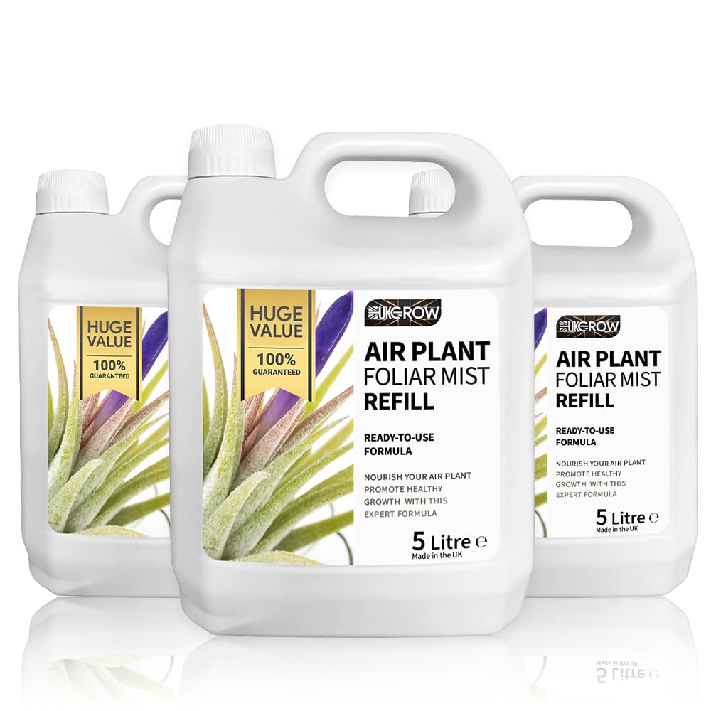 UK Grow 5L Air plant Mist & Spray Refill – Nourish & Revitalise for Lush Air Plant Growth (5L Air Plant Mist)