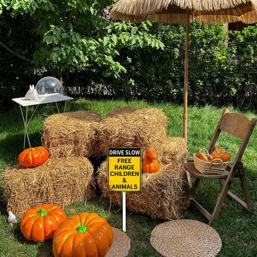 View 3