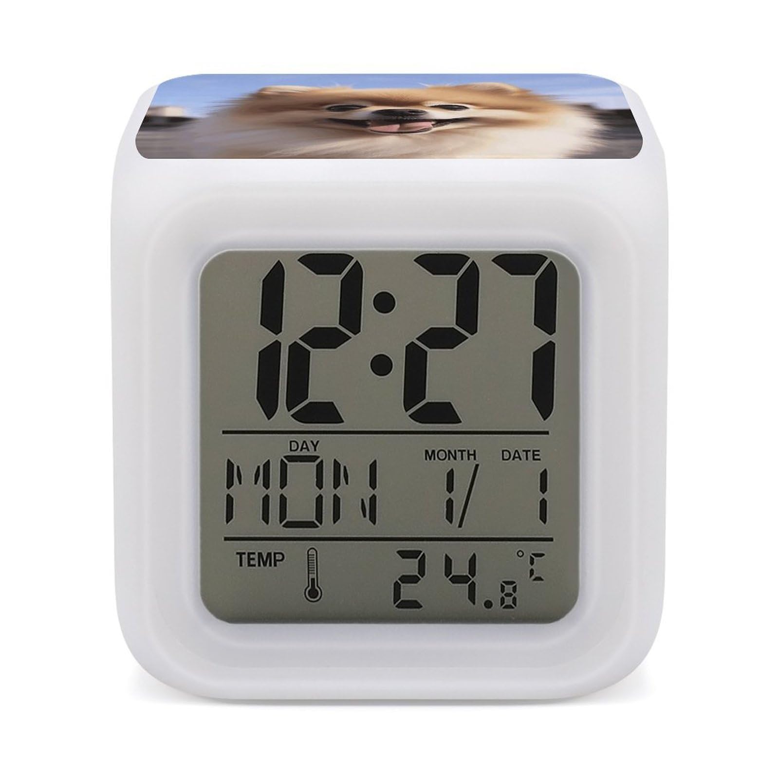 VstaDank Happy Pomeranian Alarm Clocks with 7 Color Changing Night Light Exquisite Bedroom Digital Clocks with LED Temperature Display Desk Clock Ok to Wake Clocks for Heavy Sleeper