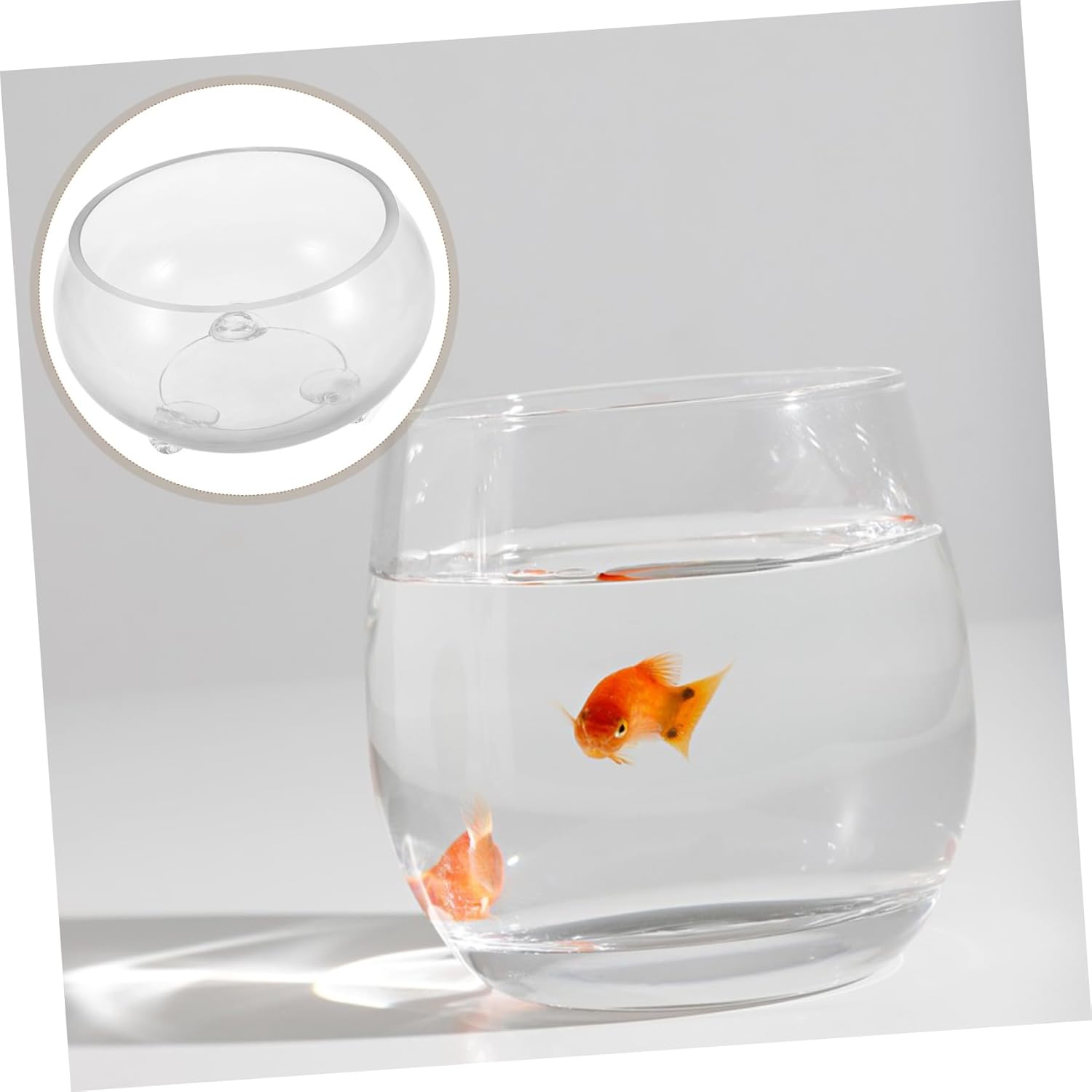 Round Glass Fish Bowl Terrarium Planter Vase for Betta Fish and Hydroponic Plants Creative Decorative Centerpiece for Home Office and Weddings
