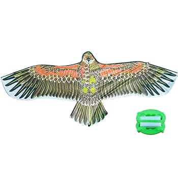 Amazon.co.jp: カイト 鷹 凧 鳥型凧 おもちゃ 凧揚げ 大きい