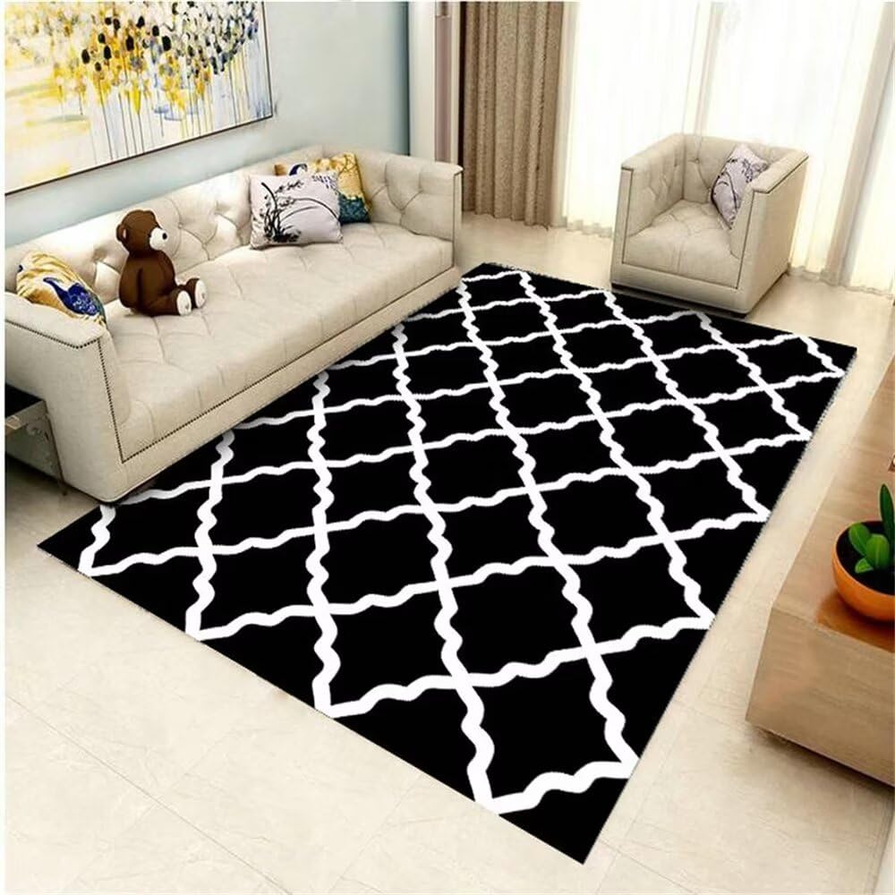 Tapis salon géométrique noir et blanc lavable en machine tapis sol 70x140