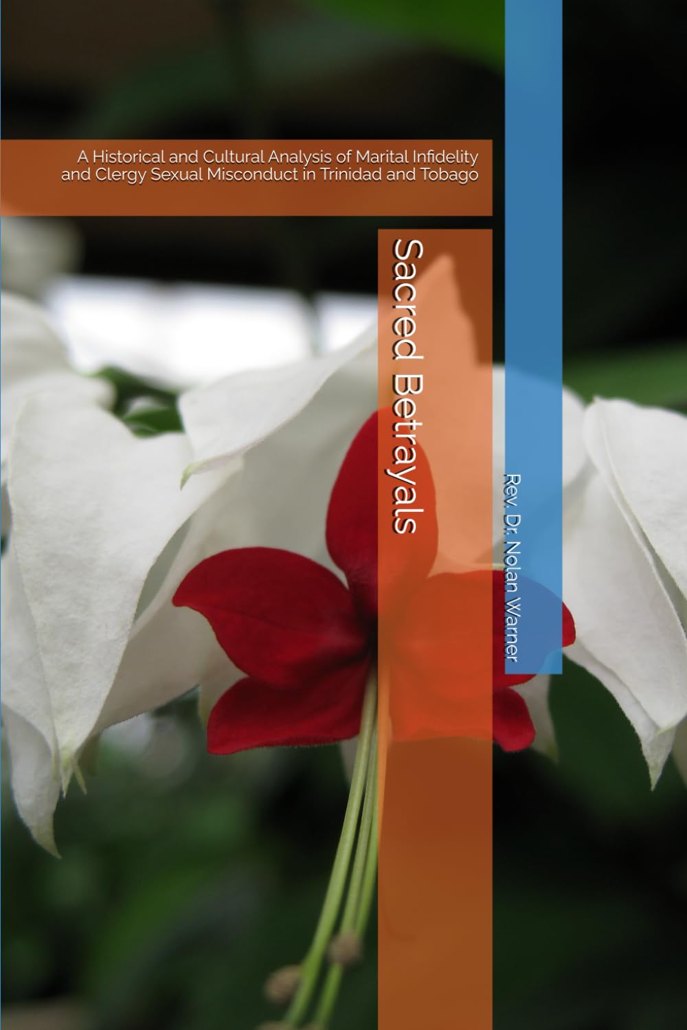 Sacred Betrayals: A Historical and Cultural Analysis of Marital Infidelity and Clergy Sexual Misconduct in Trinidad and Tobago
