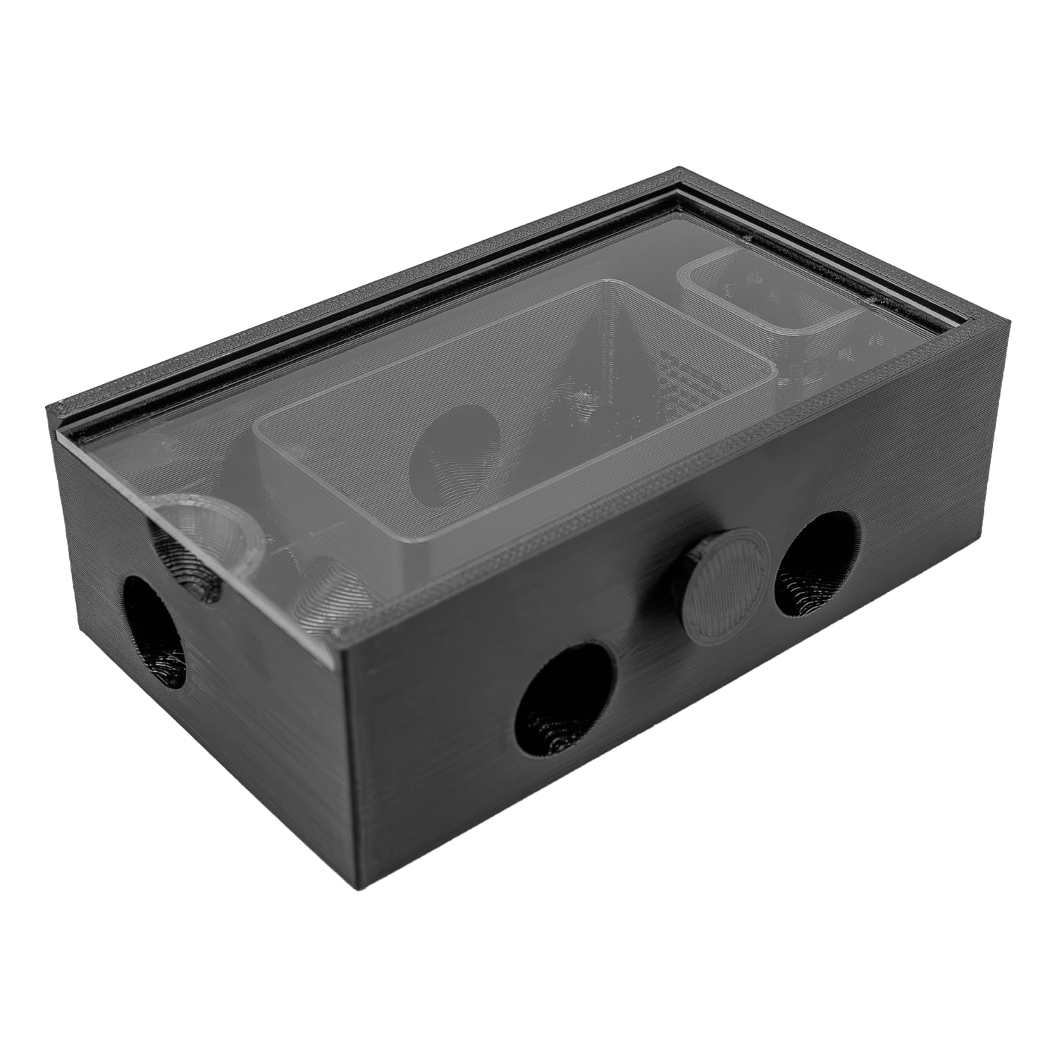 Bristle Worm Trap with Window (Black)