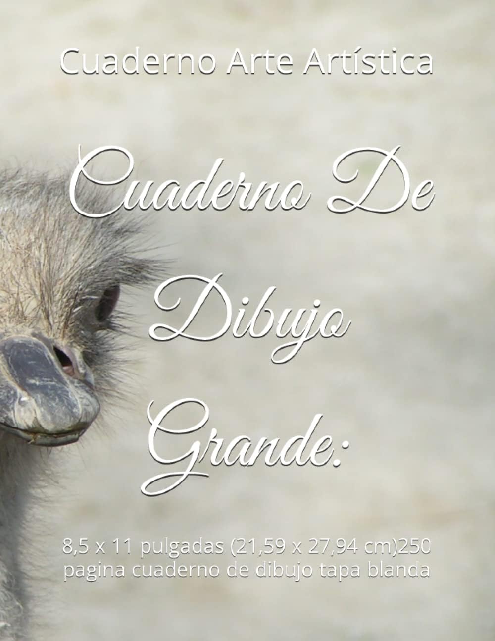 Cuaderno De Dibujo Grande:: 8,5 x 11 pulgadas (21,59 x 27,94 cm)250 pagina cuaderno de dibujo tapa blanda