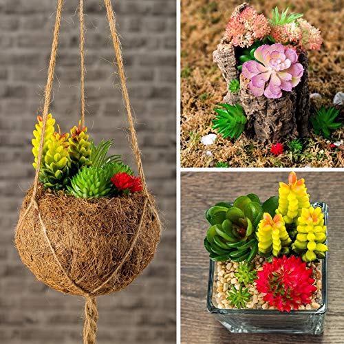 Housenior 24 Pack Mini Artificial Succulent Plants Unpotted : Fake Succulents Picks Realistic Plastic Cactus Stems For Terrarium Bulk Small Faux Assorted Arrangements Flocked Greenery #TOP3
