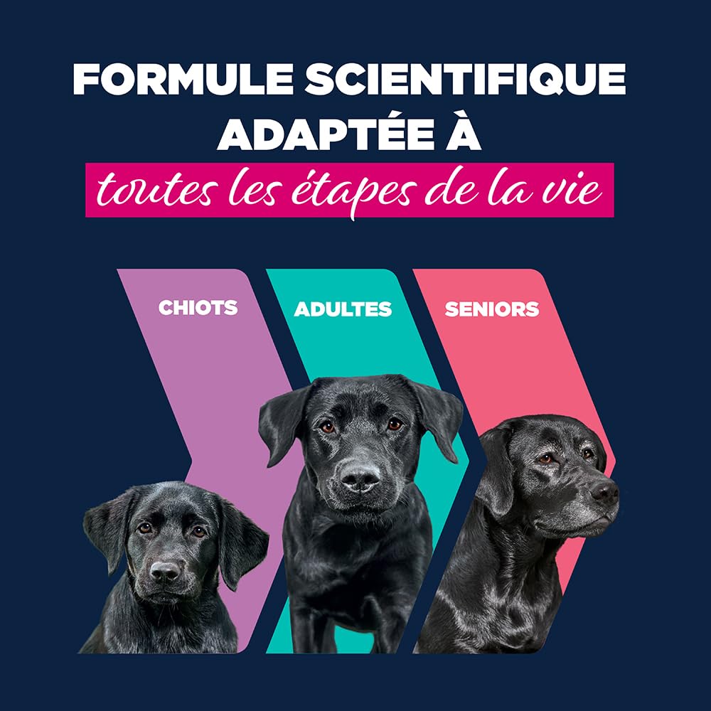 EUKANUBA Life Care Aliment Humide Chien Adulte 1 à 7 Ans Toutes Races, Pâtée Riche en Bœuf & Courges, Oméga-3, Calcium, Prébiotiques MOS, sans OGM Colorants Conservateurs, 6 boîtes de 400g