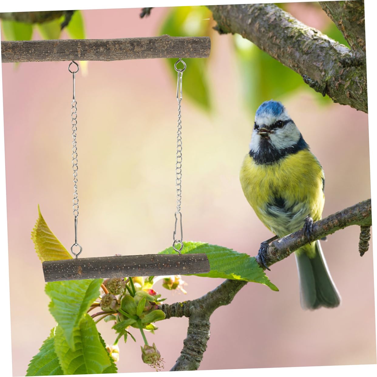 BESPORTBLE 5sets Altalena Per Uccelli Legno Posatoio Naturale Per Pappagalli e Parrocchetti Giocattolo Per Gioco e Esercizio Struttura Resistente e Durevole Per Allenamento e Della
