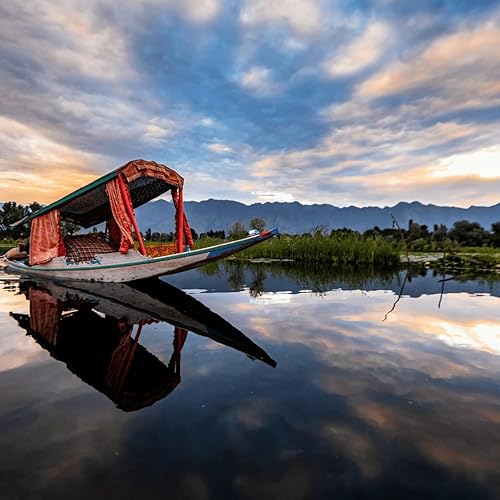 Miniatura 7 de Zyanna Té Kahwa Kashmiri  Bolsas de té verde desintoxicante de hierbas (40 tazas20 bolsitas de té) especias indias naturales  cardamomo, canela,