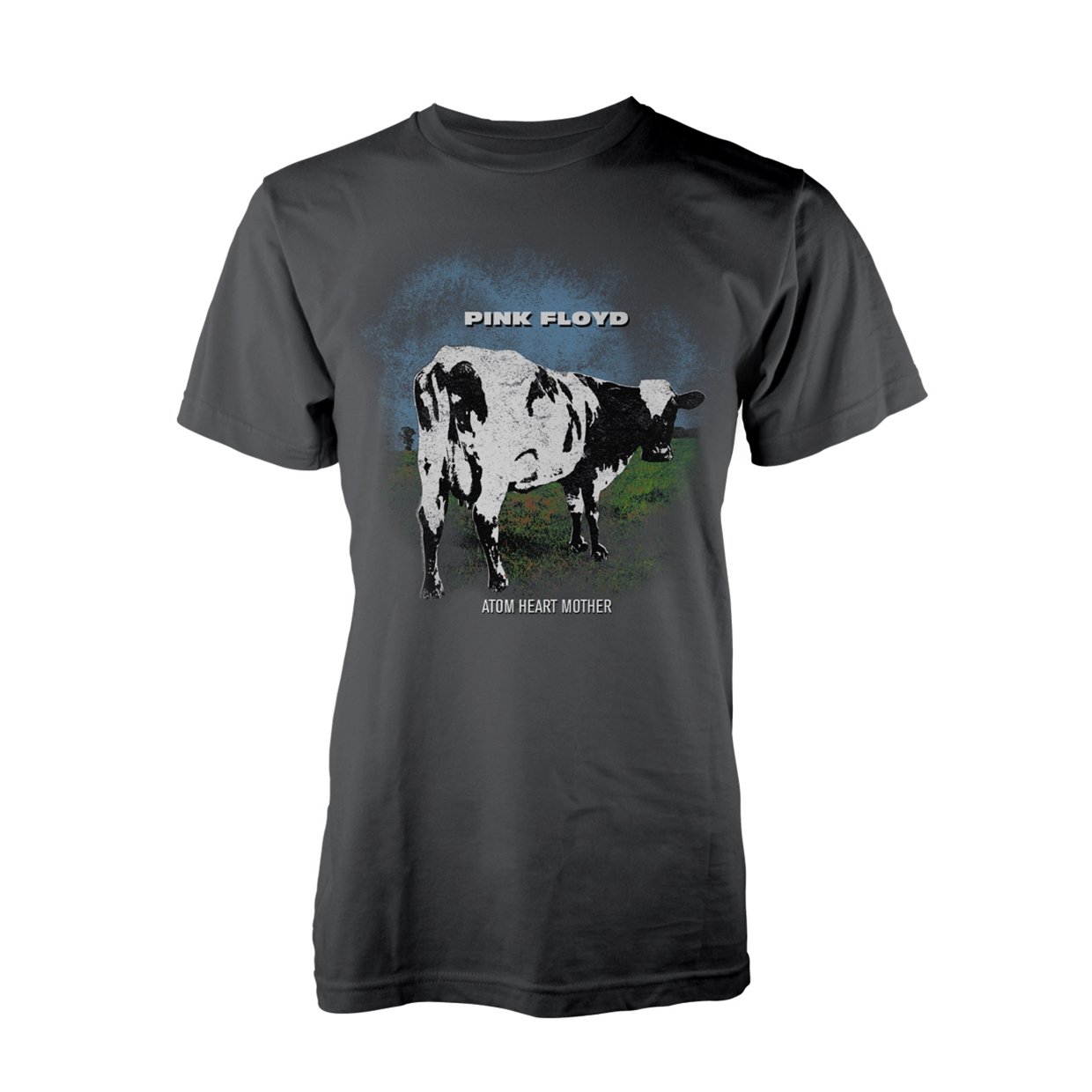 Rock Off Officially Licensed Products Men's Grey Pink Floyd Atom Heart Mother Fade Official Tee T-Shirt Unisex (Large)