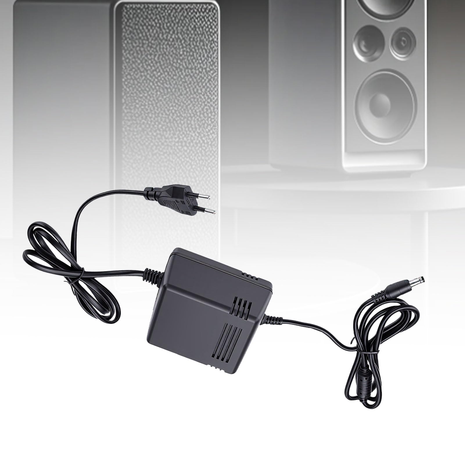 Denash Alimentatore Lineare CC da 24 W, Adattatore di Alimentazione