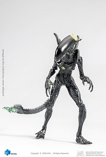 Miniatura 2 de Hiya Toys Exquisita mini serie 118 escala 5 pulgadas AVP Blowout Alien Warrior figura de acción