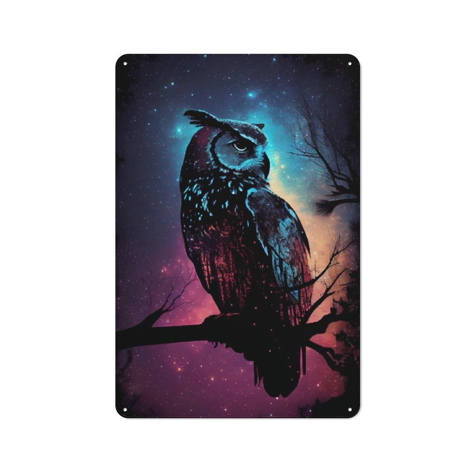 Decorative Metal Plaque with Owl Galaxy Design 30x20cm, Modern Retro Studio Wall Art for Workspace, Cafe, Hallway Or Garage