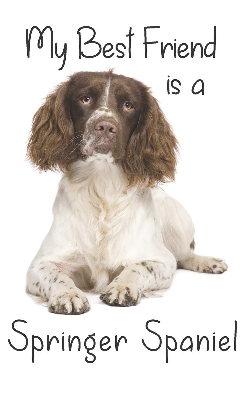 My best Friend is a Springer Spaniel: English Springer Spaniel: 8” x 5” Blank lined Journal Notebook 120 College Ruled Pages