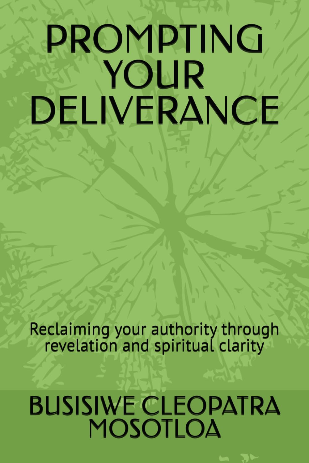 PROMPTING YOUR DELIVERANCE: Reclaiming your authority through revelation and spiritual clarity