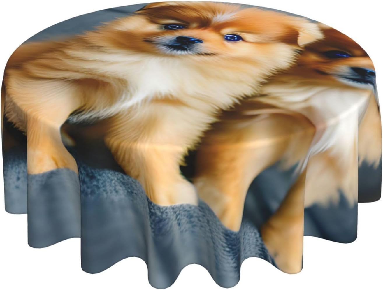 Pomeranians Puppies and Point Print Wrinkle Free Dining Table Cover for Birthday Party Farmhouse Tablecloths Up to 60 x 60 Inches