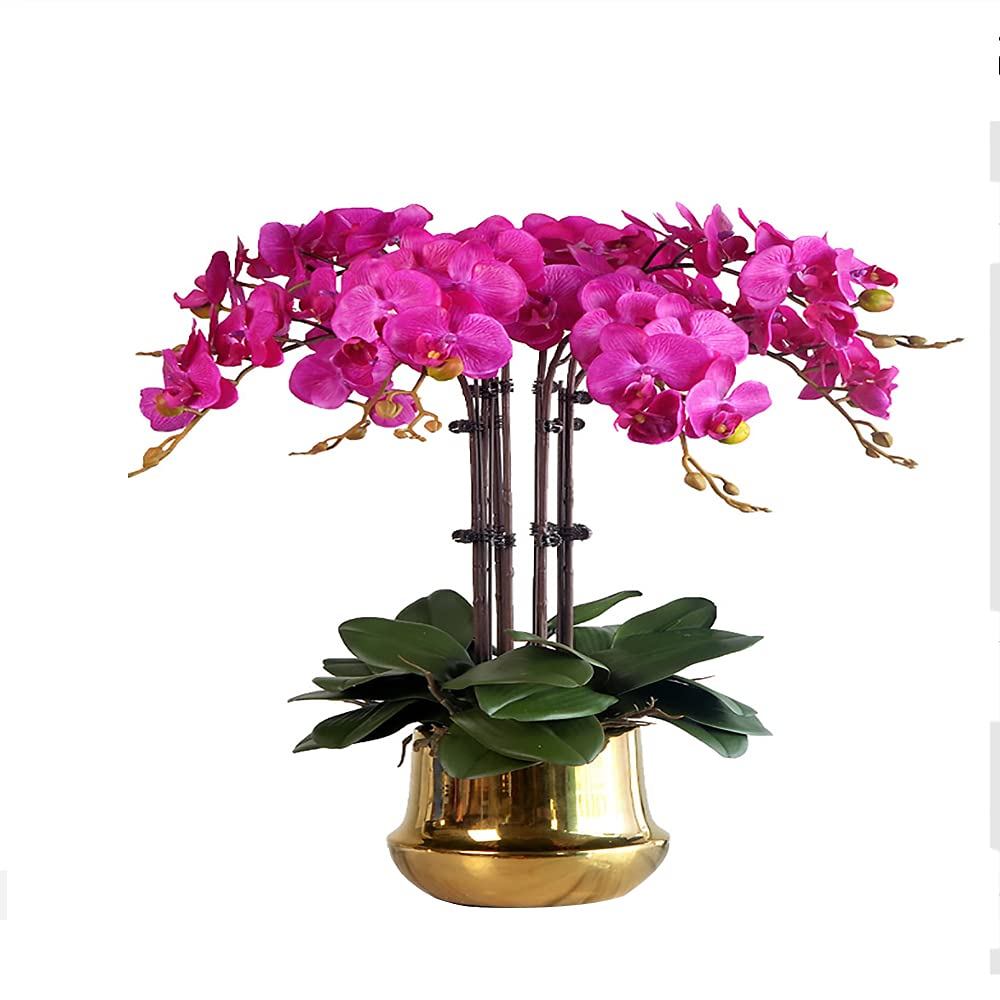 Rośliny doniczkowe Phalaenopsis, realistyczny efekt dotykowy, symulacja kwiatów pasujące wazy ceramiczne, odpowiednie na meble weselne, biurka, dekoracje domowe, A3