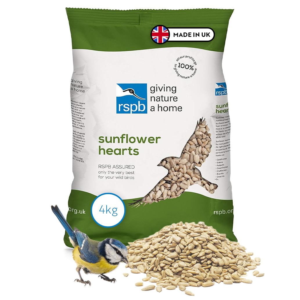 RSPB - Sunflower Hearts for Birds, High Energy and Protein, Wild Bird Food, Husk Free, Delicious and Nutritious, Made in the UK (4kg)