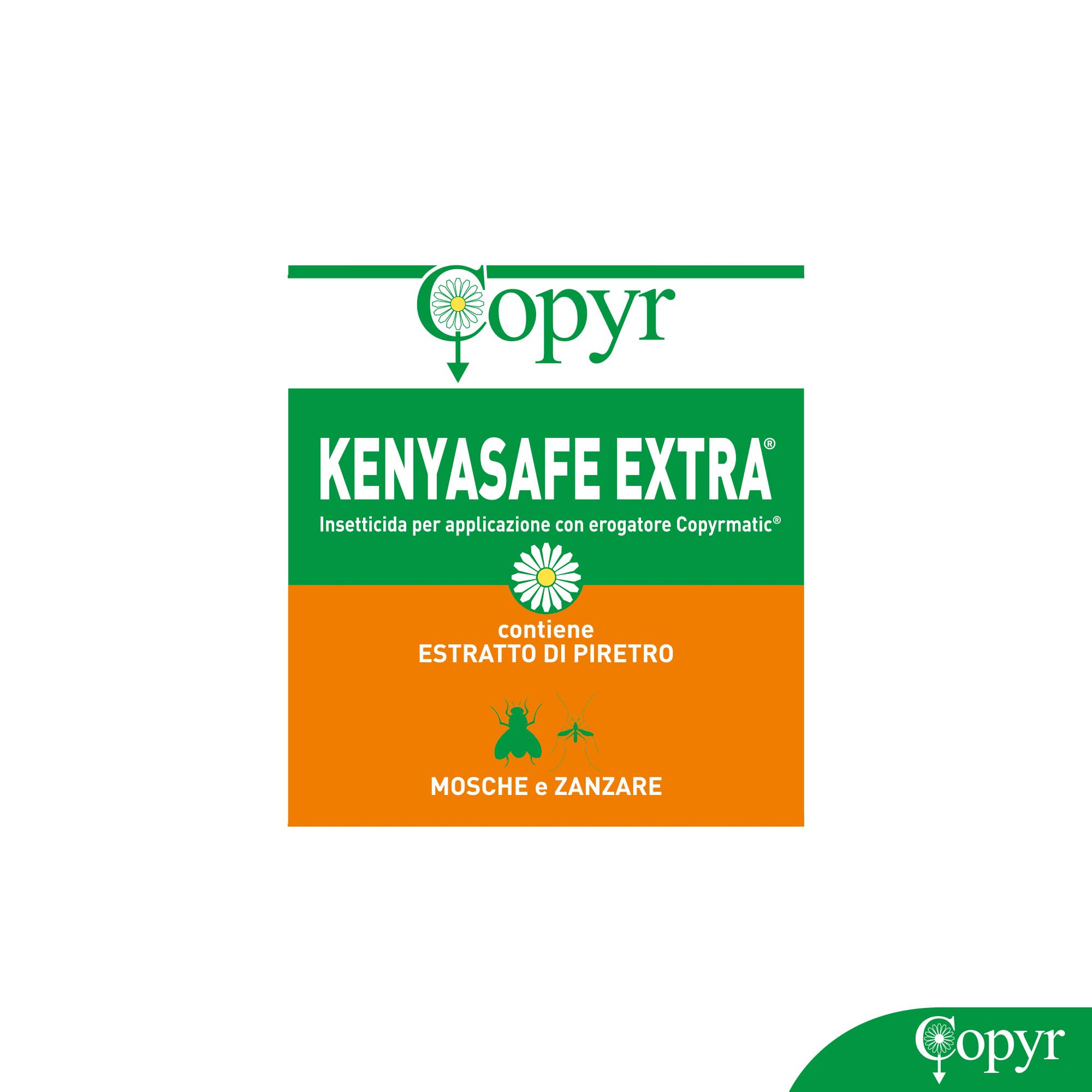 Copyr Kenyasafe Extra - Insetticida Antizanzare, Mosche e Insetti Volanti, 6 Bombole 250ml, Piretro Insetticida Biologico Repellente Zanzare Professionale Casa, Ho.Re.Ca., Settore Pubblico e Sanitario