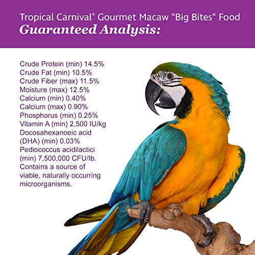 Tropical Carnival 446851 F.M. Brown'S Tropical Carnival, Gourmet Macaw Food Big Bites thumb #4
