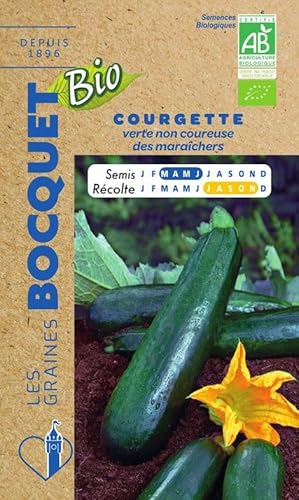 Sachet de graines de Courgette Verte Non Coureuse Des Maraîchers Bio- Certifiée ECOCERT FR-BIO-01-3g - Les Graines Bocquet
