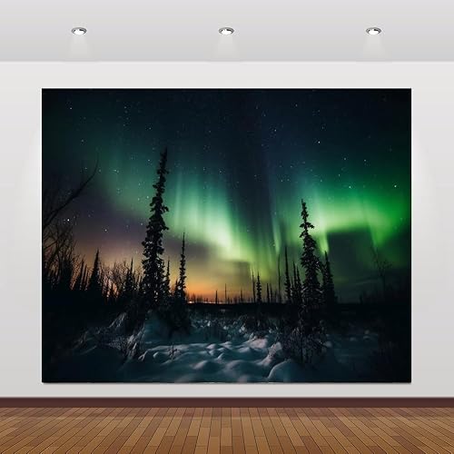 Aurora Borealis Backdrop 10x8ft Northern Lights Arctic Snow-Capped Mountains Pin