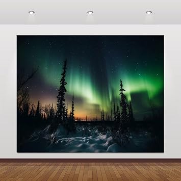 Aurora Borealis Backdrop 10x8ft Northern Lights Arctic Snow-Capped Mountains Pine Forest Backdrop Norway Winter Natural Landscape Kids Travel Party Birthday Background Decor