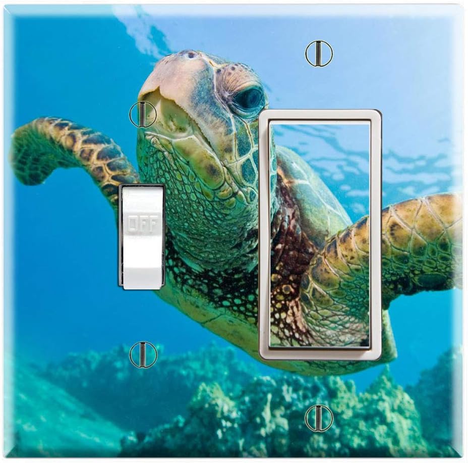 Graphics Wallplates - Cute Green Sea Turtle Coral Reefs - Toggle Rocker/GFCI Combo Wall Plate Cover