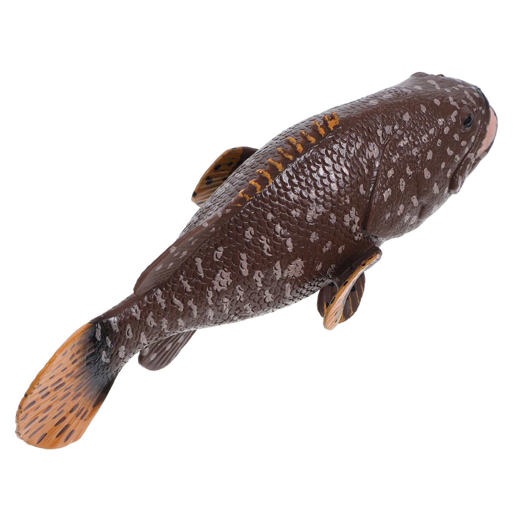 シマハタ　フィギュア　魚寸25cm シマハタ フィギュア 魚寸25cmの通販 by 次回発送1/12〜 FFA