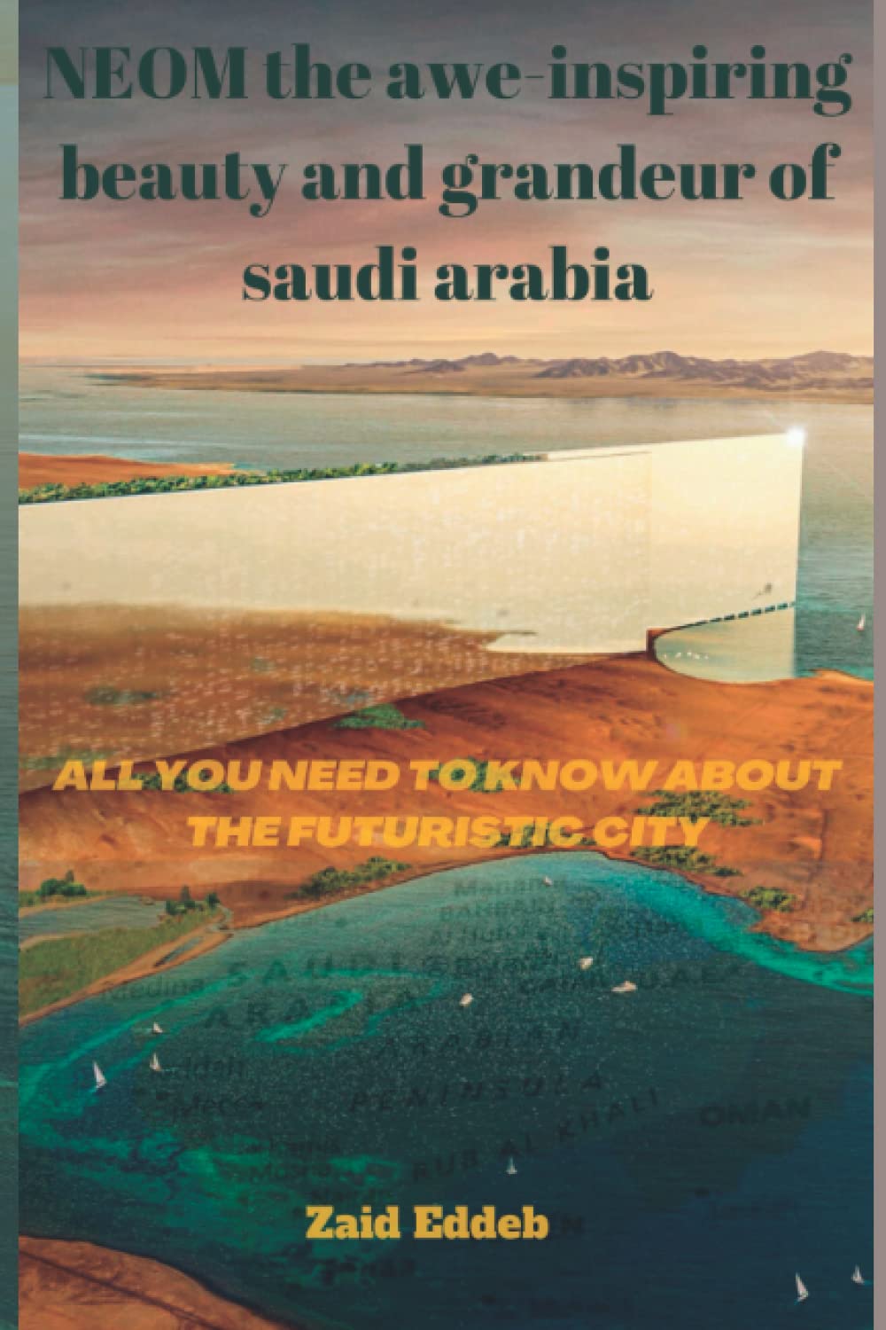 NEOM the awe-inspiring beauty and grandeur of Saudi Arabia: All you need to know about the futuristic city