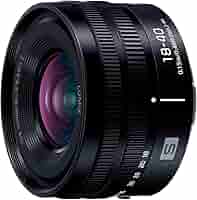 【美品】パナソニック Lマウントレンズ 18-40mm LUMIX S Panasonic LUMIX S Series 18-40mm F4.5-6.3 L-Mount Lens - S-R1840