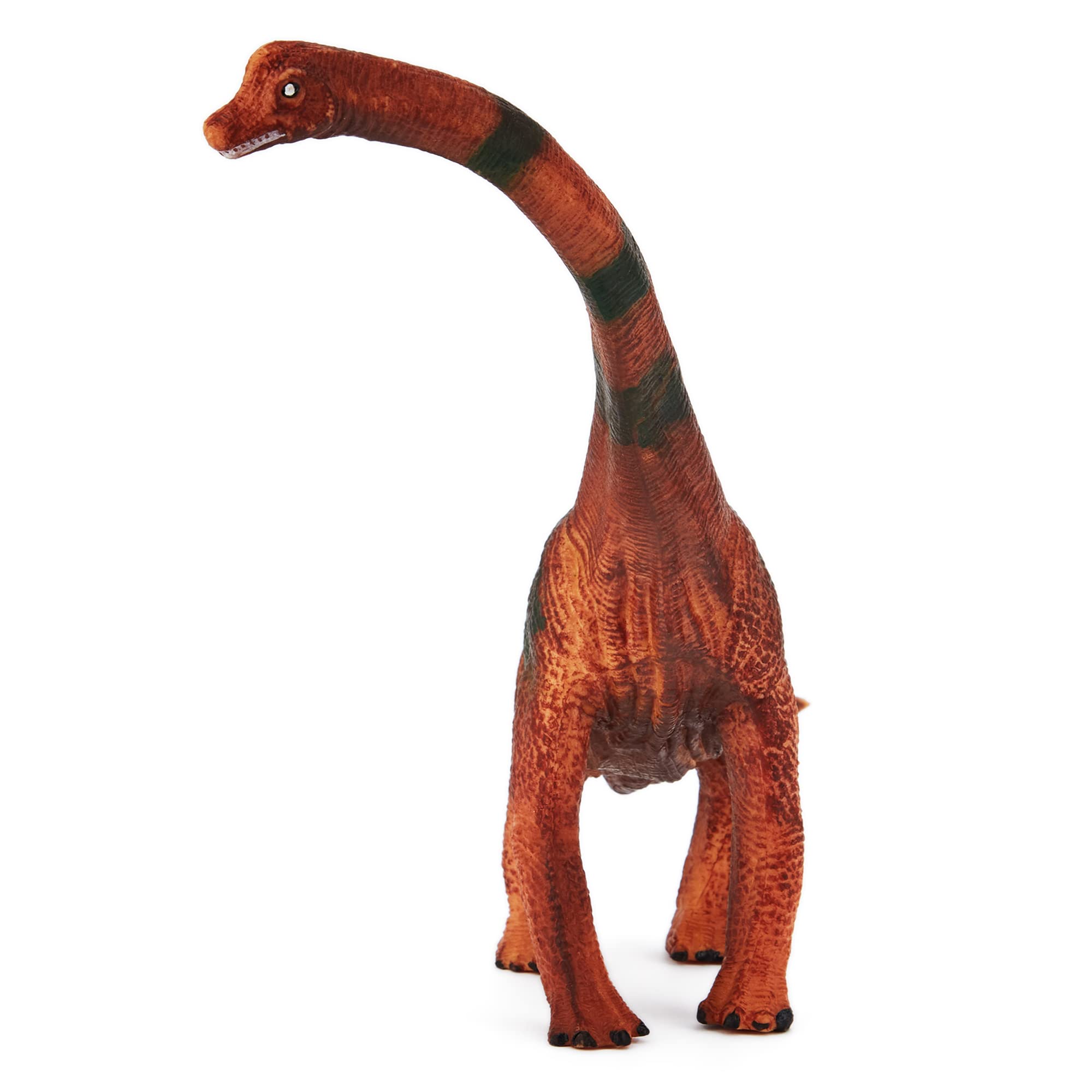 Zappi Co Childrens Brachiosaurus Dinosaur Figure Toy (26cm Length) - Realistic Detailed Dino Collection for Kids - Action Figures for Playtime Fun & Learning