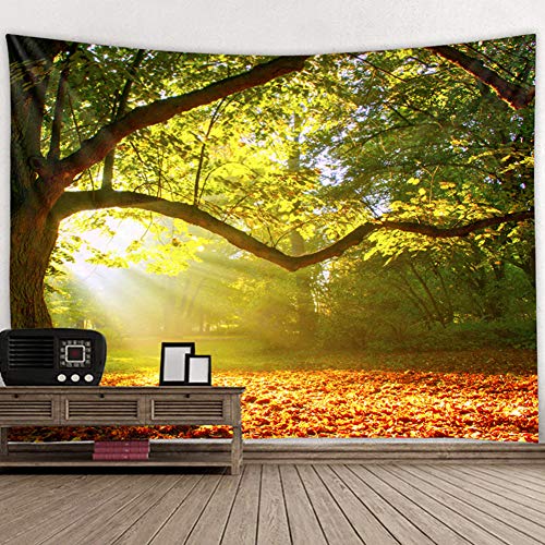 Hogar Y Cocina Accesorios Decorativos Colores Vibrantes Decoracion