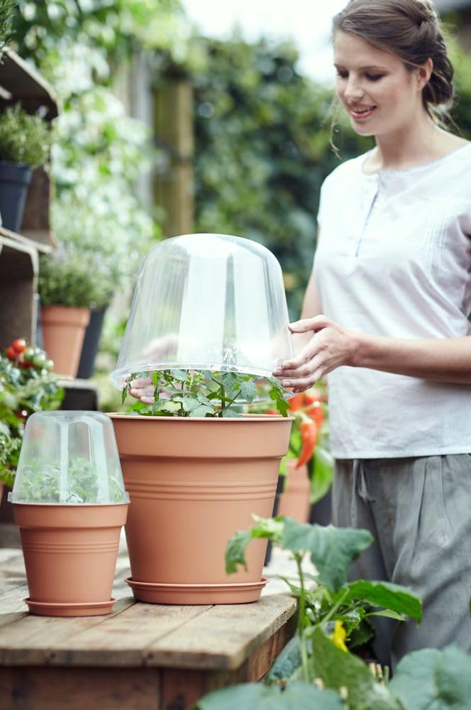 Elho Green Basics Grow House Round 30 - Accesorio por Interior y Exterior cultívalo tú mismoaccesorios - Ø 30.0 x H 23.1 cm - Transparent