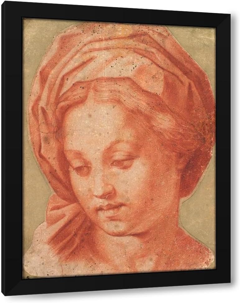 Andrea Del Sarto 19x24 Black Modern Framed Art Print Titled: Madonna Borghese (1485-1539)