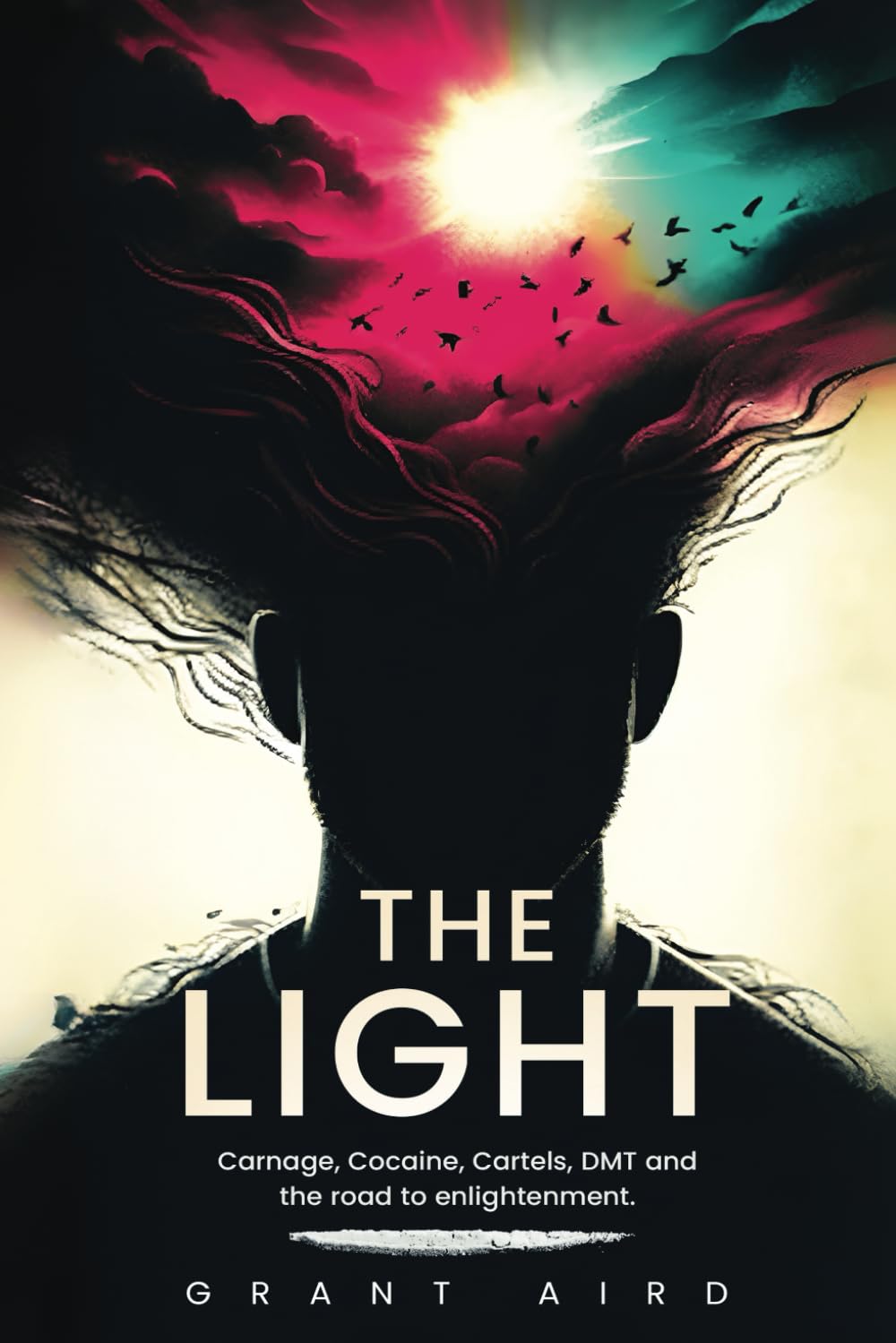 The Light: Carnage, Cocaine, Cartels, DMT and the road to enlightment