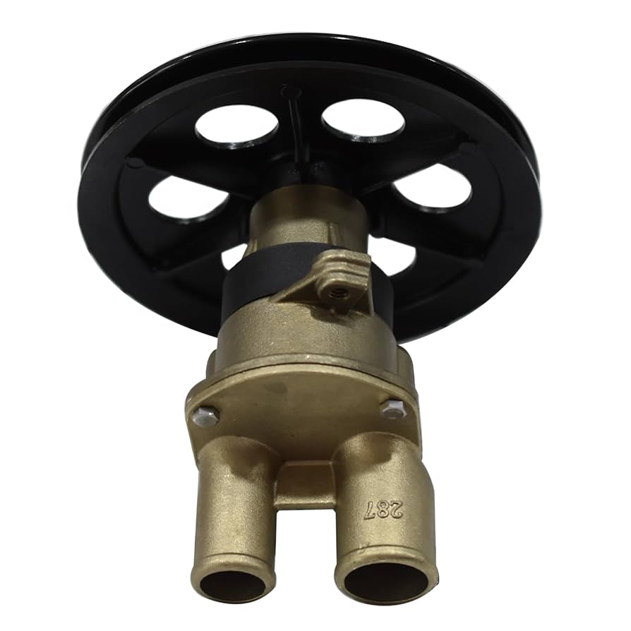 Amazon.com: Prefer Warehouse Raw Water Sea Pump Compatible
