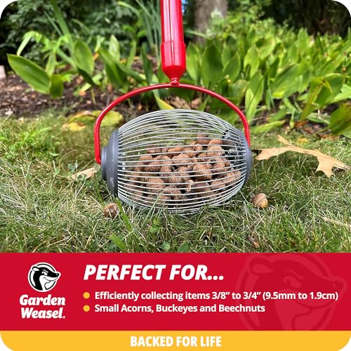 Garden Weasel Nut Gatherer - Small Cage | Pick Up Small Acorns, Buckeyes, Beech Nuts | Nut Collector and Picker Upper Roller | 95334 by GARDEN WEASEL - Image 2