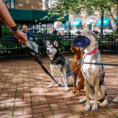 POPETPOP Brinquedos Que Fazem Barulho Cachorro Verificador de Cachorro Bola Chiar Brinquedo de Futeb