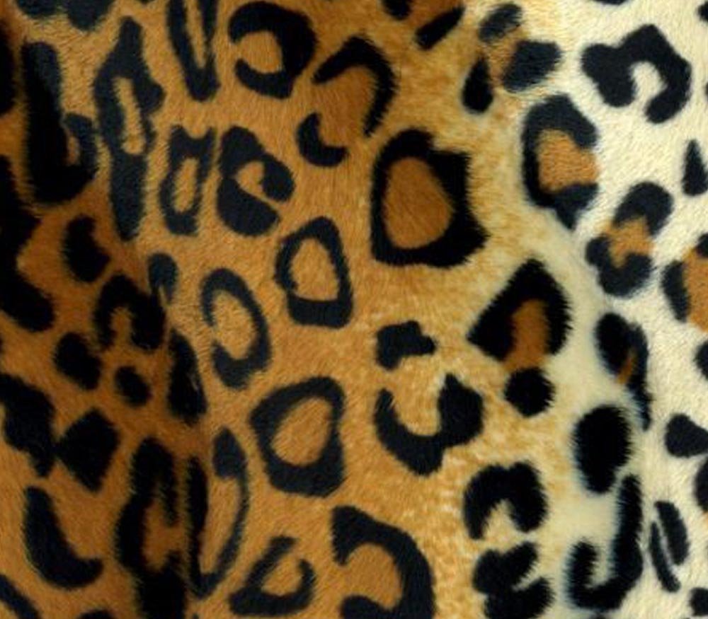 Amazon.com: Velboa Fabric Faux Fake Animal Fur Gold Leopard/ 60