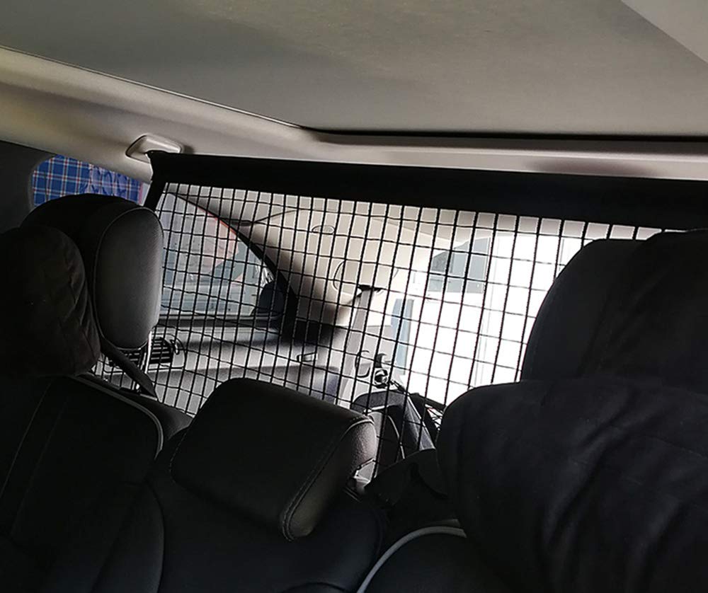 View 2