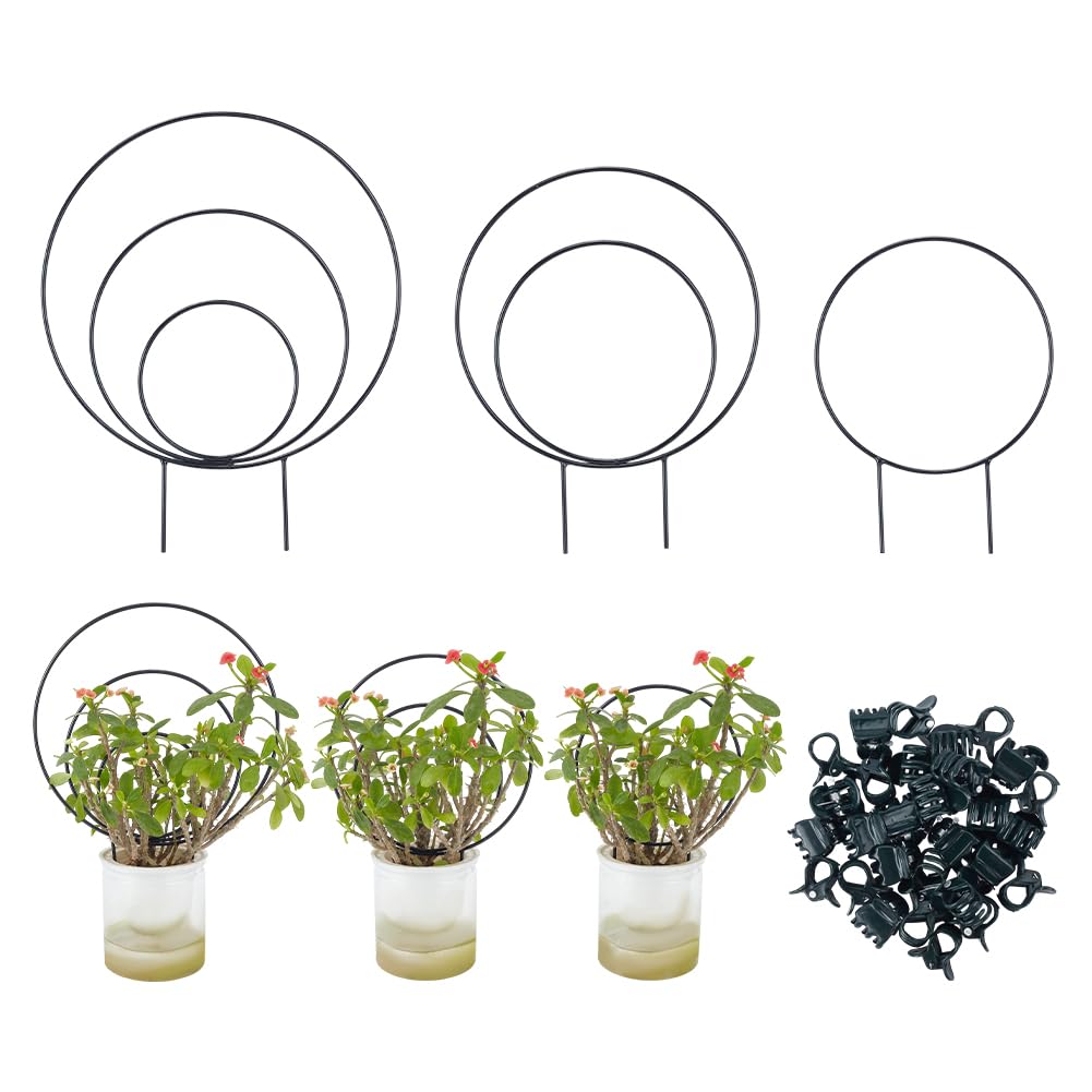 Treillis rond en fer anti-affaissement pour tuteurer vos plantes vertes